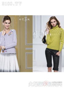 玲宇品牌女装产品展示 设计、品质与时尚的完美融合